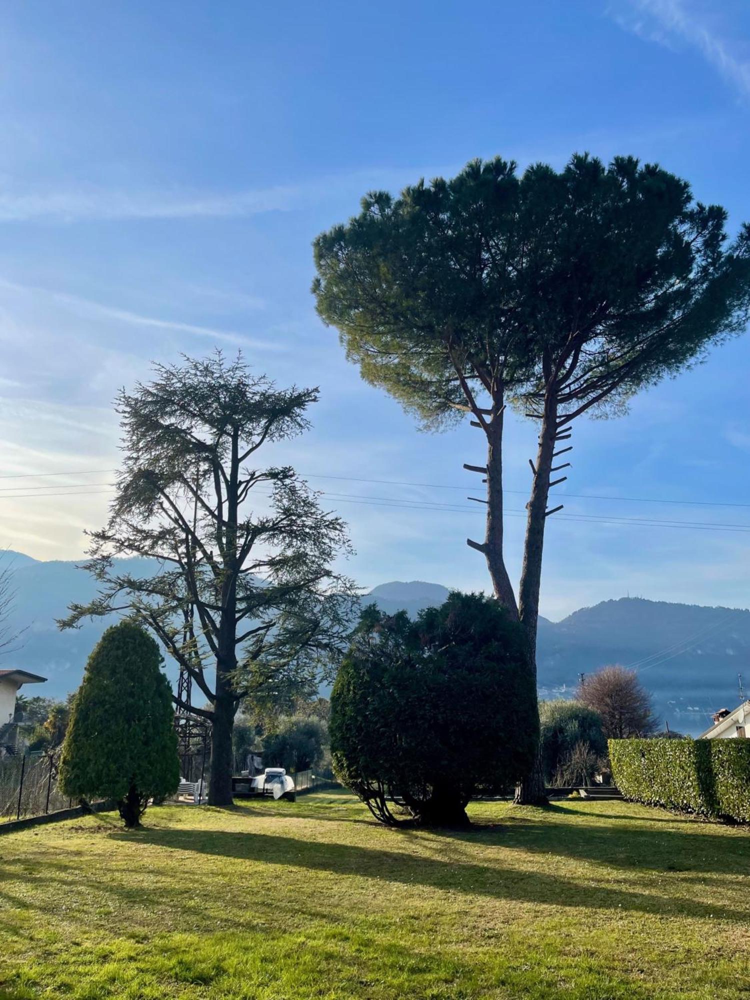 Villa Rosi Lierna Extérieur photo