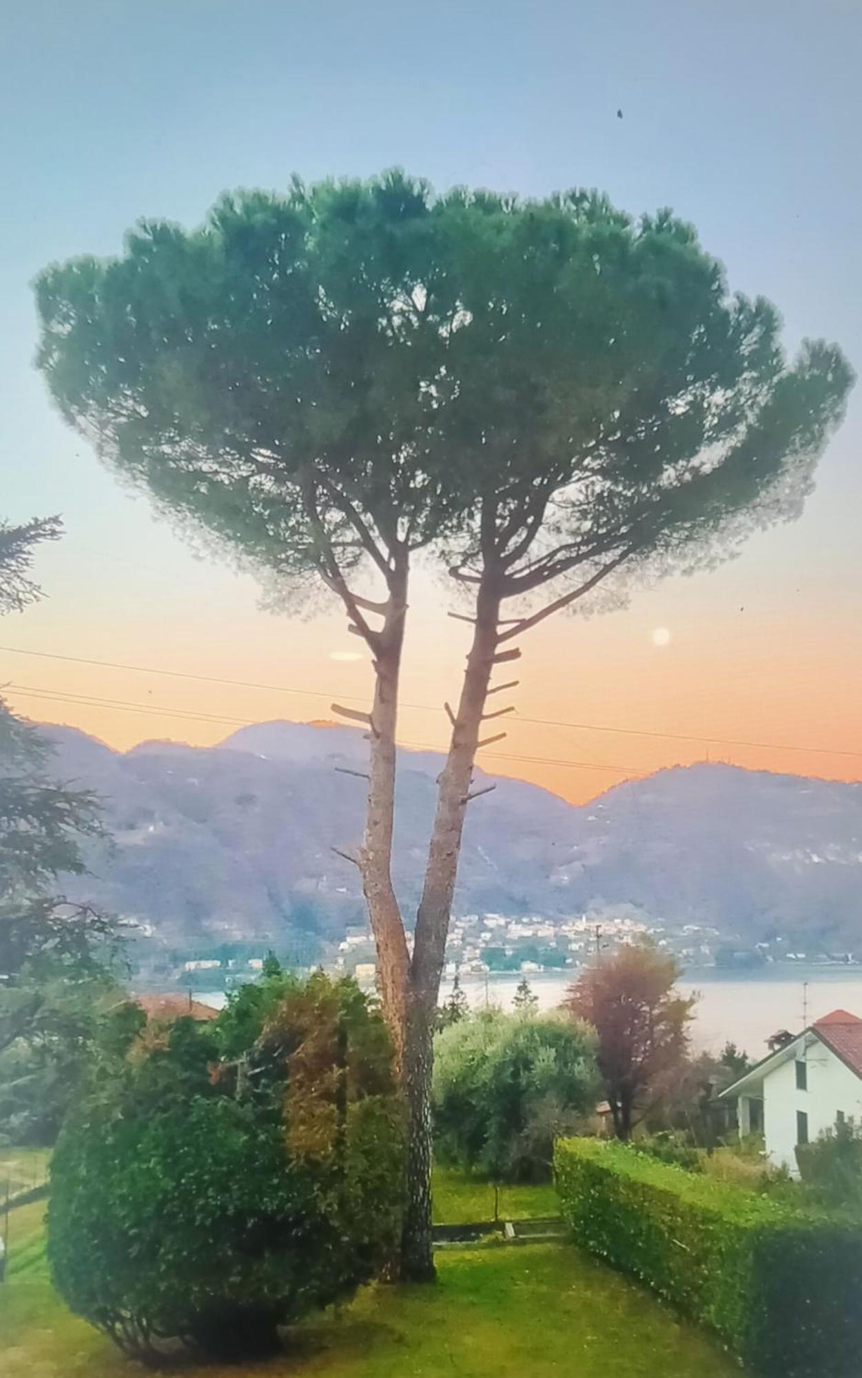 Villa Rosi Lierna Extérieur photo